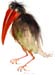 Vogel 1